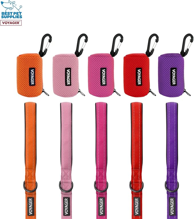 Best Pet Supplies 2-Pack Dog Poop Bag Holder Leash Attachment, Color, Reusable Mesh Dispenser Pouch for Travel, Walking, Park, and Outdoor Use, Soft and Durable with Clip-On - Mesh Lime Green