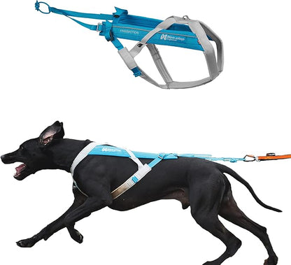 Non-stop dogwear Freemotion harness 5.0 Dog Pulling Harness for Sports like Running, Biking and Skiing with Dogs, Professional Adjustable Dog Harness, Blue/Gray, Size 7