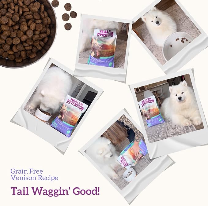 Health Extension Dry Dog Food, Natural Food with added Vitamins & Minerals, Suitable for All Puppies, Include Venison & Sweet Potato Recipe with Whole Vegetable & Berries (10 Pound)