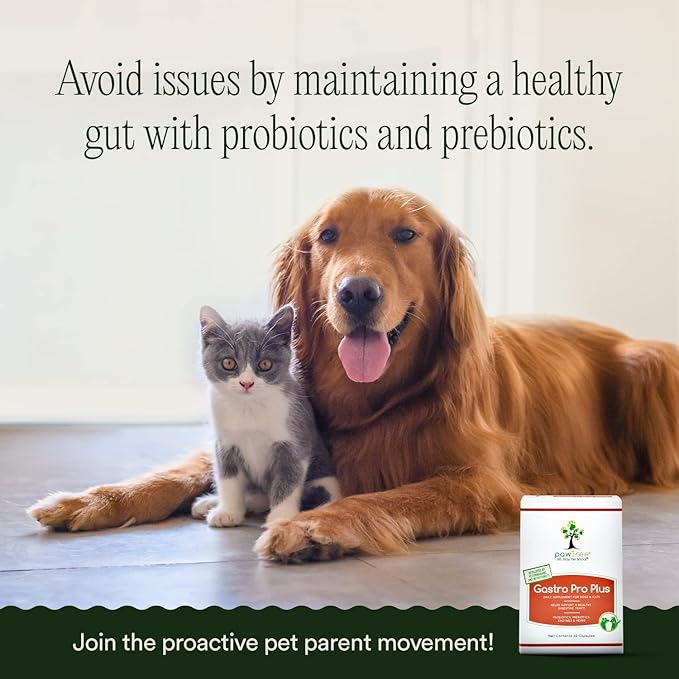 pawTree Gastro Pro Plus- Probiotics, Prebiotics & Digestive Enzymes Supplement for Dogs & Cats- Promotes Stomach Relief, Helps with Upset Gut, Constipation, Bad Gas & Diarrhea- Pet Health Essentials