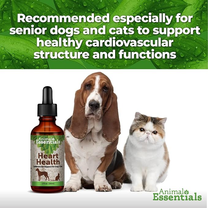 Animal Essentials Heart Health Cardio Support for Dogs and Cats, 1 fl oz - Made in USA Organic Hawthorn Berries Alcohol Free