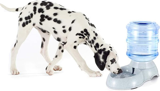 Pet Gravity Water Dispenser Large 3 Gallon 11 Liters-Thickened Durable,Dog Cat Water Bowl Dispenser Large,Automatic Replenish Pet Waterer Dispenser Station,grey