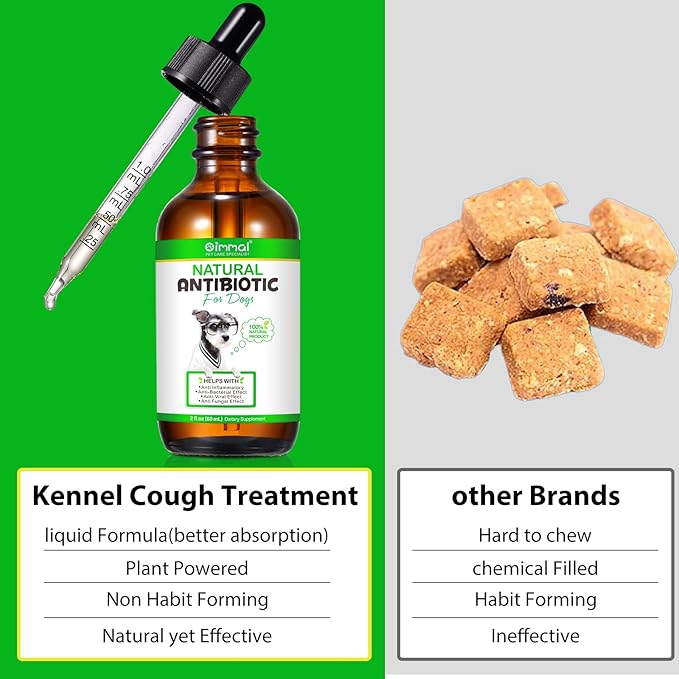 Antibiotics for Dogs, Natural Dog Antibiotics Supports Dog Allergy and Itch Relief, Dog Supplies Antibiotics, Dog Multivitamin for Pets, Bacon Flavor - 60ml x 2