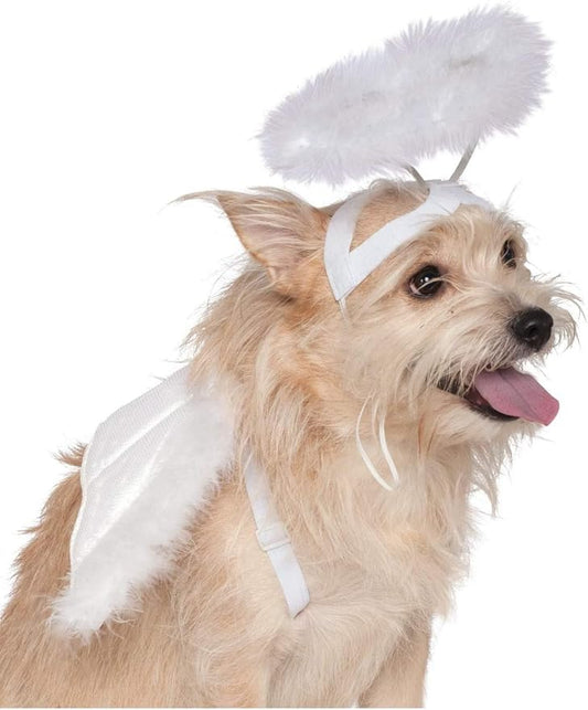Rubie's Costume Co Angel Halo & Wings Pet Costume Accessory Set, Small to Medium, White