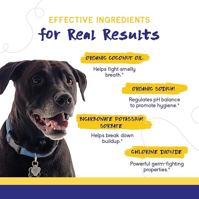 PupGrade Dental Care Water Additive Solution - Advanced Oral Care for Dogs - Dental Rinse for Fresh Breath to Fight Against Bad Breath, Plaque, and Tartar