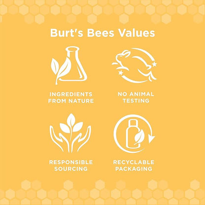 Burt's Bees for Pets Care+ Oral Care Kit, Gum Soothing Dog Toothpaste with Hemp Seed Oil and Bamboo Dog Toothbrush - Dog Tooth Brushing Kit for Dog Dental Care from Burt's Bees