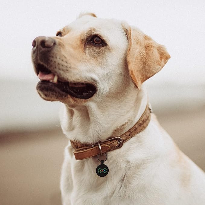 MYLUCKYTAG QR Code Pet ID Tags Dog Tags - Pet Online Profile - Scan QR Receive Instant Pet Location Alert Email