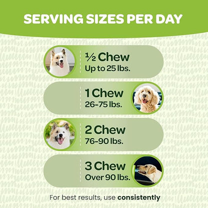 Probiotic Chews for Dogs Gut Health | Tasty Pro and Prebiotics for Dogs Digestive Health Immunity Itchy Skin & Seasonal Allergy Support with Pumpkin Dog Probiotics and Digestive Enzymes | 60 Chews