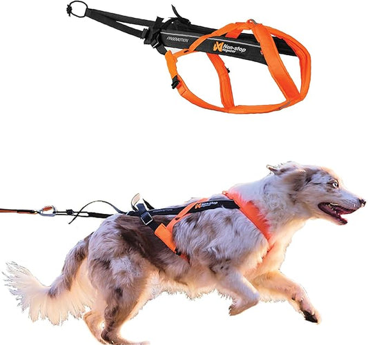 Non-stop dogwear Freemotion harness 5.0 Dog Pulling Harness for Sports like Running, Biking and Skiing with Dogs, Professional Adjustable Dog Harness, Orange/Black, Size 4