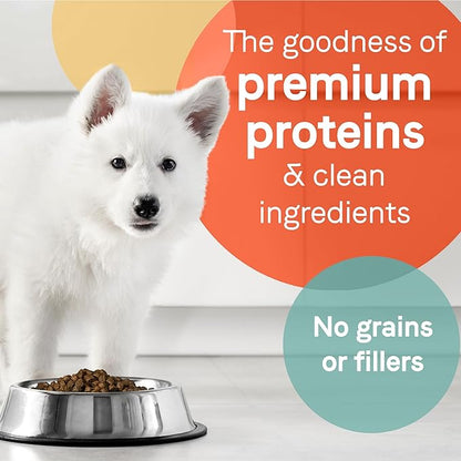 Canidae Pure Grain Free Dry Puppy Food, Real Salmon & Sweet Potato, 22 lbs.