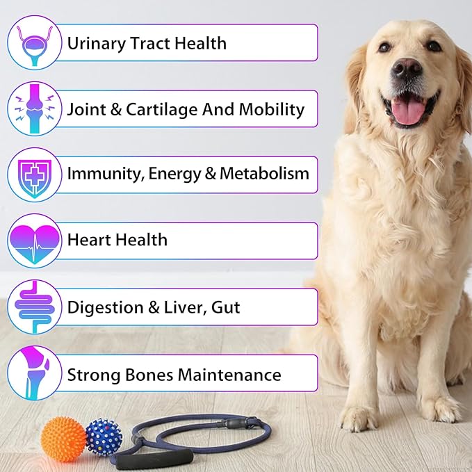 15 in 1 Dog Multivitamin Drops for Dogs - Dog Vitamins & Supplements Natural Dog Multivitamins and Minerals - Glucosamine, MSM for Skin & Coat, Heart Health, Bones, Joint, Immune System Support