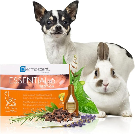 Dermoscent Essential 6 spot-on - Dog Skin Care for Dandruff & Allergy Relief with Vitamin E Oil - Anti Itch for Dogs - Dog & Small Mammals 0-10 kg - 4 Pipettes of 0.6 ml