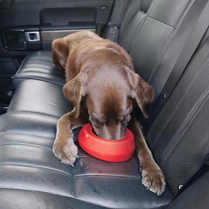 Kurgo Splash Free Wander Water Bowl, No Spill Dog Travel Bowl, Portable No Mess Water Bowl for Dogs, Splash Less Pet Bowl for Car Travel, Dog Travel Accessories, 24 oz, Chili Red