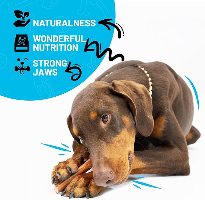 Sitka Farms Bully Sticks XL 12 inch - 12 Count - Bully Sticks Long Lasting Dental Dog Treats for All Dogs and Puppies - Single Ingredient Bully Sticks for All Chewers - No Bones or Hide