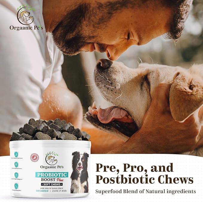Ultimate Dog PROBIOTIC Chews - Boosts Gut Health and Eases Allergies with PROBIOTICS, POSTBIOTICS, PREBIOTICS (FOS) Inulin - Colostrum - Glutamine - Mushrooms -Pumpkin-QUERCETIN and a SUPERFOOD Blend