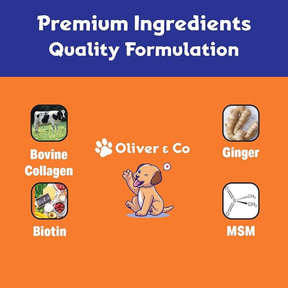 Collagen for Dogs - Dog Collagen - Liquid Collagen for Dogs - Itch Relief for Dogs - Dog Liquid Collagen - Liquid Collagen Dogs - Collagen Supplement for Dogs - Collagen Dogs - 1 fl oz - Bacon Flavor