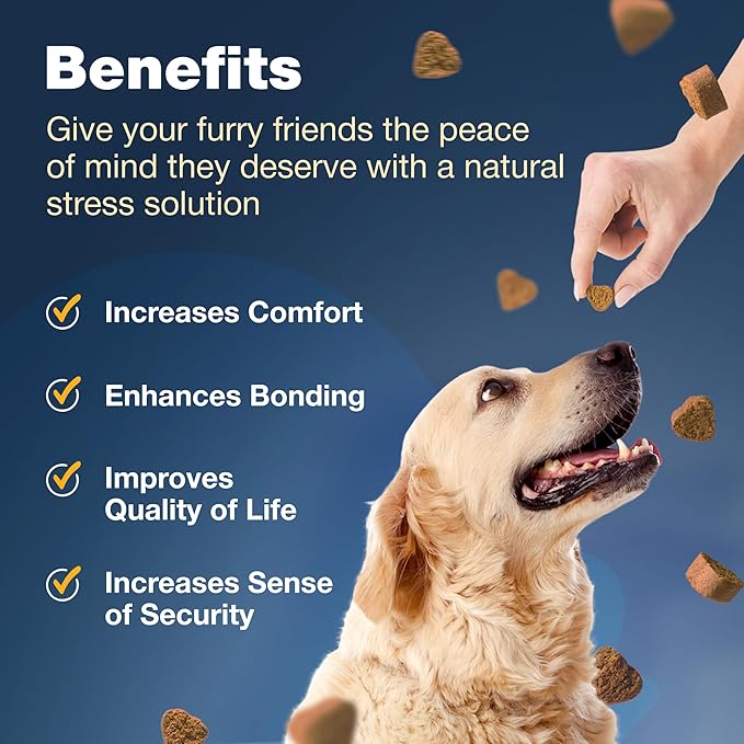 Dog Allergy Relief Chews - Allergy Relief for Dogs Itching- Anti Itch for Dogs - Itchy Skin & Seasonal Allergies Relief - Hot Spot Treats with Probiotics, Apple Cider Vinegar - Dog Itch Relief