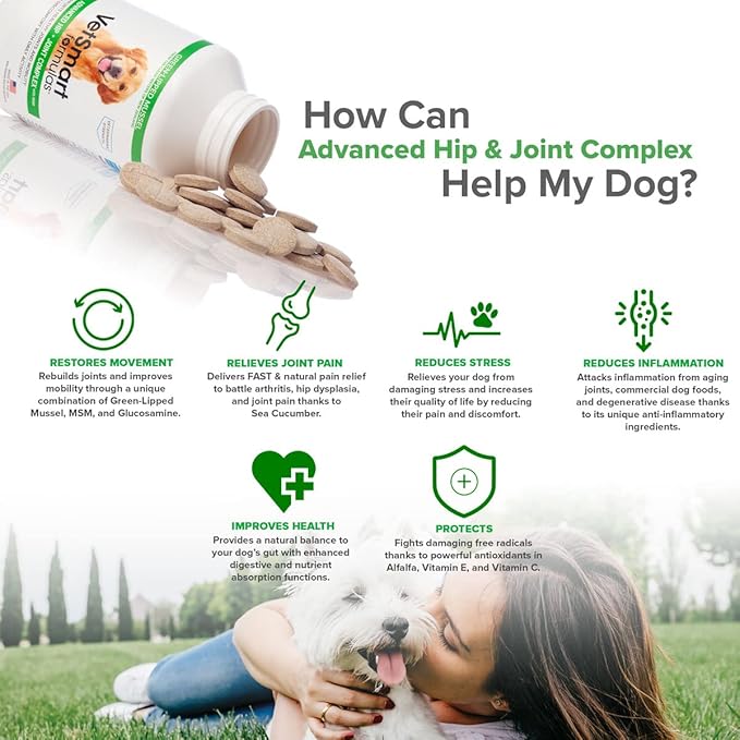 Joint Supplement for Dogs - Green Lipped Mussel, MSM + Glucosamine Formula - Helps to Restore Mobility, Relieve Arthritis & Hip Dysplasia Pain, Reduce Inflammation, No Artificial Flavors (Pack of 1)