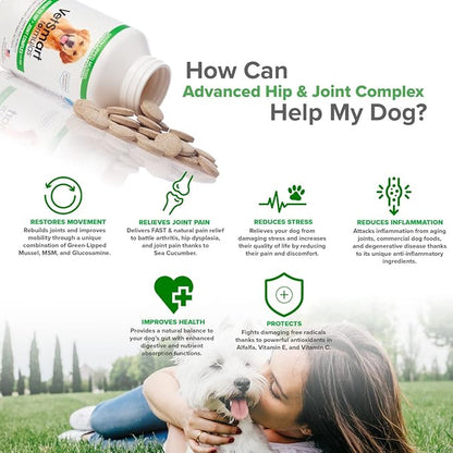 Joint Supplement for Dogs - Green Lipped Mussel, MSM + Glucosamine Formula - Helps to Restore Mobility, Relieve Arthritis & Hip Dysplasia Pain, Reduce Inflammation, No Artificial Flavors (Pack of 1)