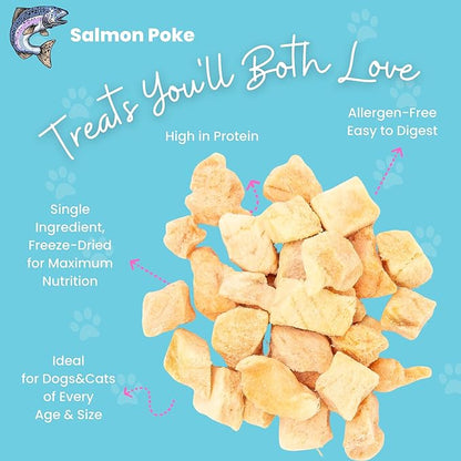 hotspot pets Freeze Dried Salmon Treats for Cats & Dogs -Made in USA-1LB BIG BAG -Resealable-Single Ingredient All Natural Grain-Free- Perfect for Training, Topper or Snack (Salmon Poke)