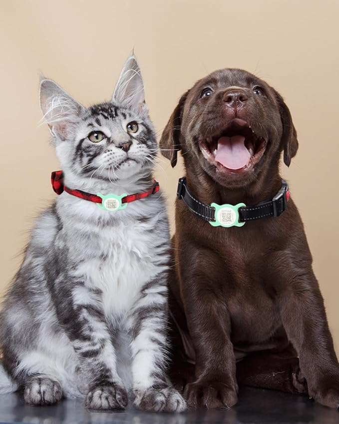 Joytale [ NO APP Required ] Silent Silicone QR Code Dog Tag, Slide On Dog Tags for 3/8-5/8 Inch Wide Collars or Vest, NFC Pet Online Profile, Scan QR to Send Location Alert Email, Teal, S