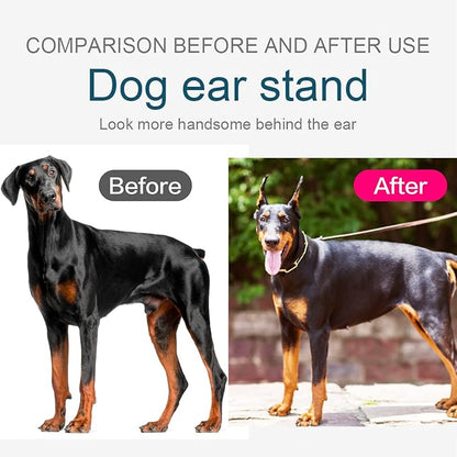 ziyue Doberman Dog Ear Posting Kit, Dog Ear Stand Up Support Tool, Dog Ear Tap for Doberman Pinscher Dog