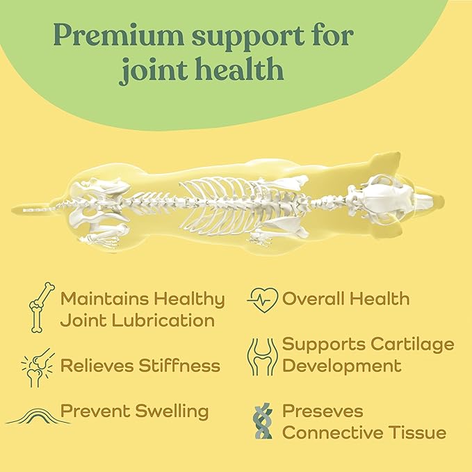 Advanced Dog Joint Supplement - Nutritious Treat Hip and Joint Chews for Dogs - Joint Supplement for Dogs with Glucosamine, Chondroitin, & MSM + Vitamins C for Dog Joint Relief - Chicken - 90 Count