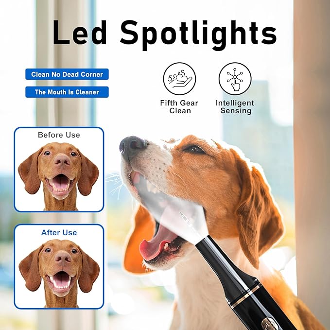 5 Modes Plaque Remover for Teeth,Dog Teeth Cleaning Kit,Dog Teeth Cleaning, Dental Tools to Remove Tartar and Stains, Safe for Dogs & Cats, with Led Light & 5 Adjustable Modes (Black)