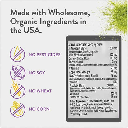 Green Gruff Probiotics & Digestive Enzymes for Dogs - Organic Immune Supplement with Protein, Multivitamin & Omega 3 Fish Oil - Made in USA - Allergy Relief - Canine Probiotic - (6 Pack, 144 Chews)