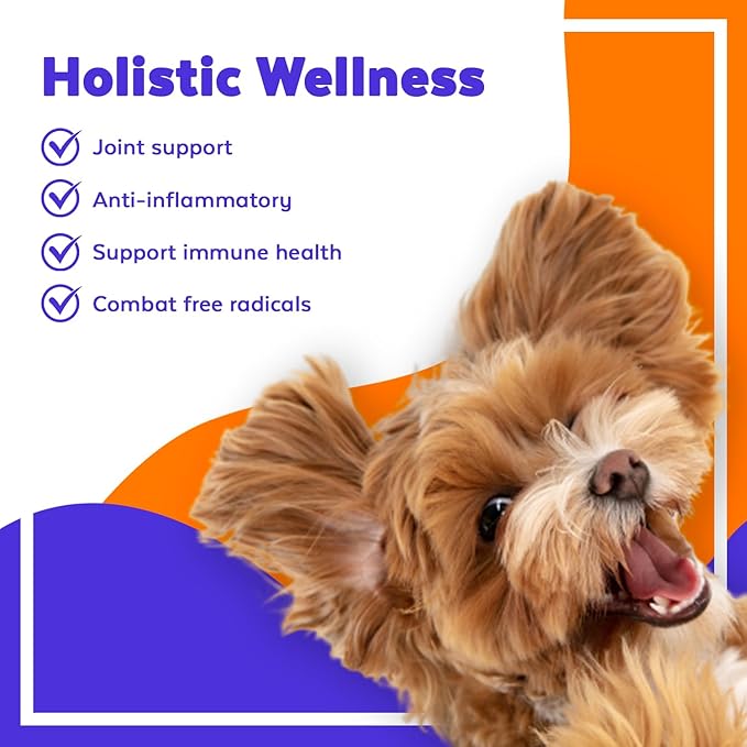 Jack & Milo Turmeric for Dogs Anti Inflammatory, Hip, and Joint Supplement Dogs - Dog arthritis Pain Relief, Support for Mobility & Wellness, USA Made-GMP Certified, Non-GMO, 120 Tablets