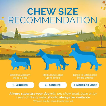 Beef Dog Treats (6 Inches - 30 Count) 100% Natural Gullet sticks for dogs - Delicious Dog Jerky Snack for Dogs