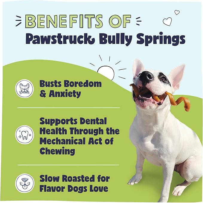 Pawstruck All-Natural 6" Bully Stick Springs for Dogs - Fun Challenging Rawhide Free 100% Beef Single Ingredient Chew Treat Bones - Fully Digestible Low Odor - 10 Pack - Packaging May Vary
