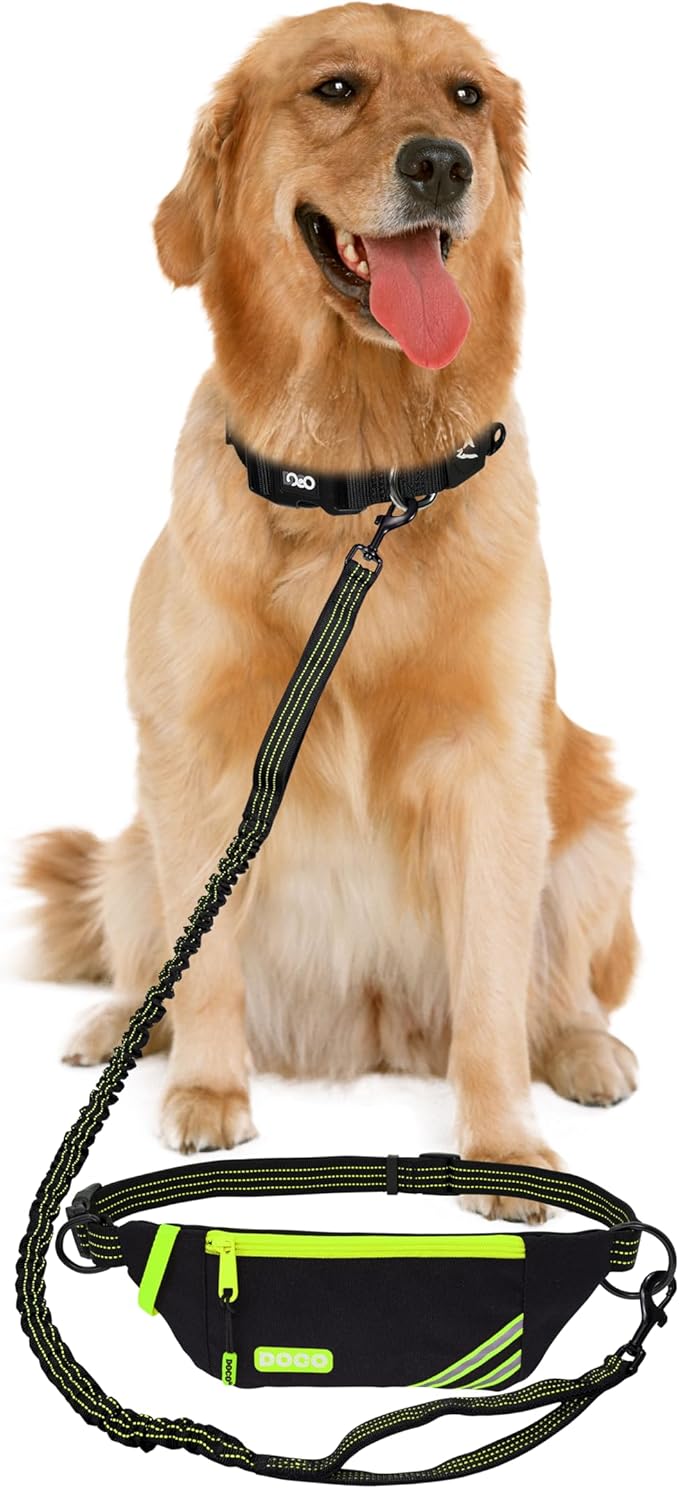 DOCO Lite Dog Jogging Belt with Zipper Pouch, Bungee Leash for Walking, Hiking, Jogging with Dog, Made for 10-100 lb. Dogs (Lime)