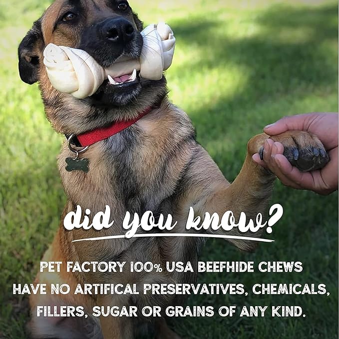 Pet Factory 100% Made in USA Beefhide 7" Braided Sticks Dog Chew Treats - Peanut Butter Flavor, 2 Count/1 Pack