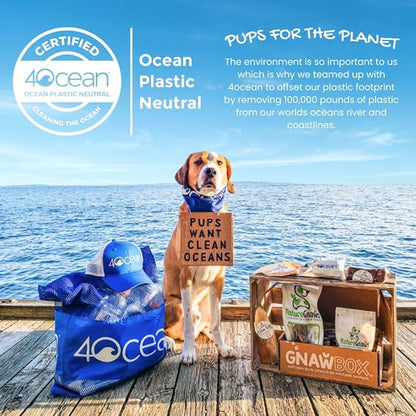 Nature Gnaws Mixed Beef Tendons & Paddywack for Dogs - Premium Natural Beef Dental Bones - Long Lasting Tasty Dog Chew Treats - Puppy Training Reward