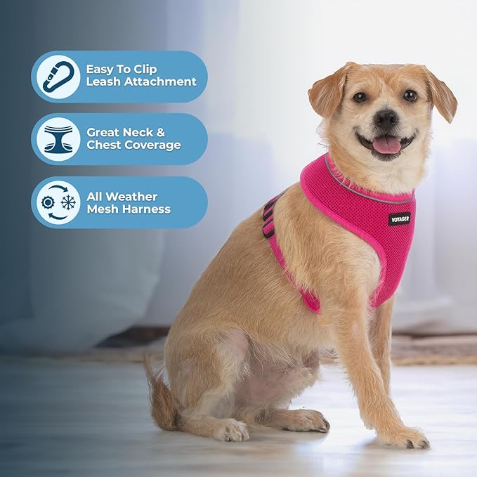 Aerolite No Pull Mesh Dog Harness with Lightweight, Soft, Breathable Chest Coverage, Reflective Stitching, and Adjustable Straps for Walking, Running, Training, Heavy Duty and Durable - Fuchsia, L