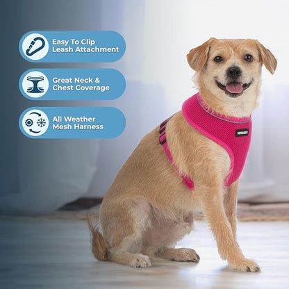 Aerolite No Pull Mesh Dog Harness with Lightweight, Soft, Breathable Chest Coverage, Reflective Stitching, and Adjustable Straps for Walking, Running, Training, Heavy Duty and Durable - Fuchsia, L