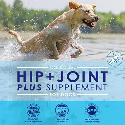 Advanced Glucosamine Powder for Dogs for Arthritis Pain Relief & Hip Dysplasia, Supports Joint Health & Reduces Inflammation with Glucosamine, Chondroitin, MSM & Coral Calcium, 6oz Powder