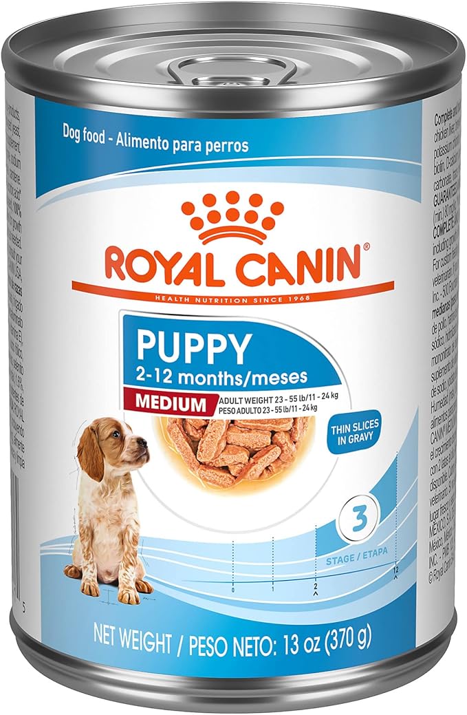 Royal Canin Size Health Nutrition Medium Puppy Thin Slices in Gravy Wet Dog Food, 13 oz can (12-count)
