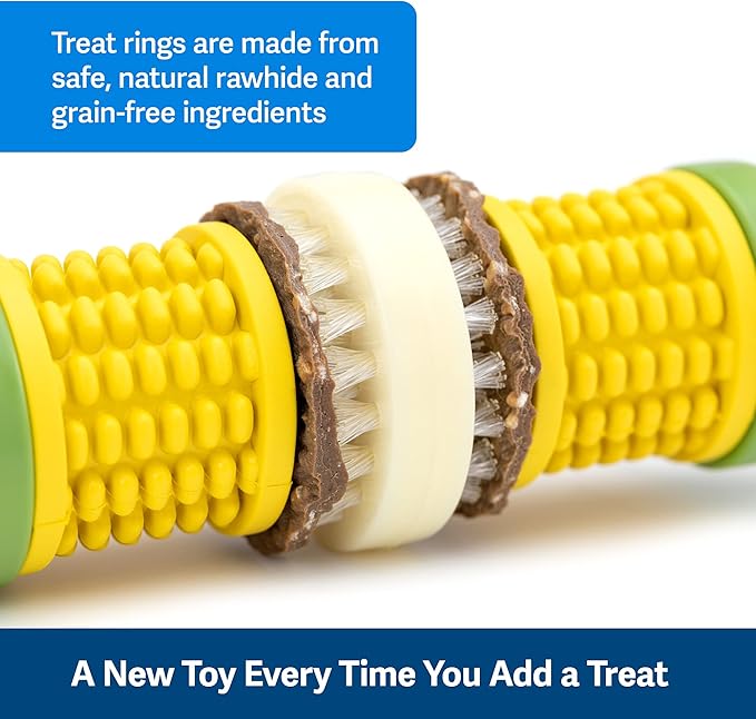 PetSafe Busy Buddy Cravin’ Corncob Dog Toys – Treat Ring Holding Chew Toy – BPA Free Rubber – Butter Scented – Interactive Pet Puzzle for Boredom or Separation Anxiety – Small to Large Dogs