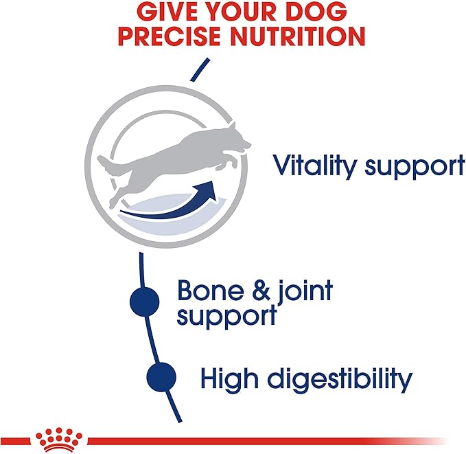 Royal Canin Large Adult 5+ Dry Dog Food for Older Dogs, 30 lb bag