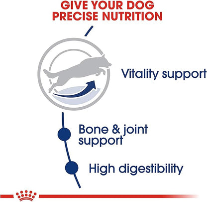 Royal Canin Large Adult 5+ Dry Dog Food for Older Dogs, 30 lb bag