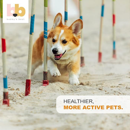 Buddy's Best, Salmon Oil for Dogs - 100% Pure Norwegian Virtually Odorless Fish Oil - Omega-3 Supplements for Dogs & Cats - Promotes Healthy Skin and Coat - Dog Food Oil in Pump Bottle (1 Gallon)
