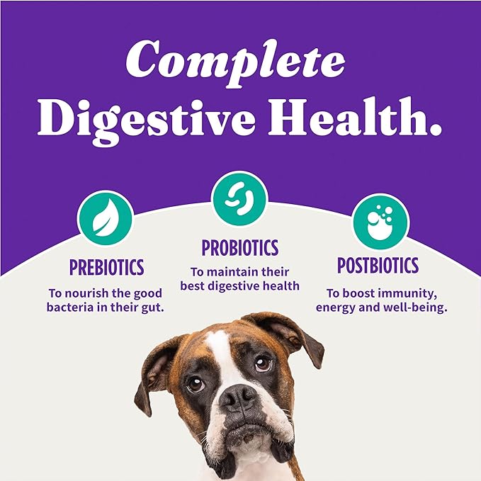 Halo Holistic Plant-Based Recipe with Kelp, Complete Digestive Health, Vegan Dry Dog Food Bag, Adult Formula, 10-lb Bag