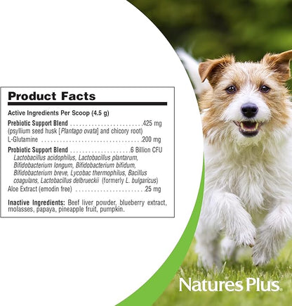 NaturesPlus FurBaby Probiotic for Dogs - 9.5 oz - Supports Digestive, Heart, Liver & Immune Health - 60 Servings