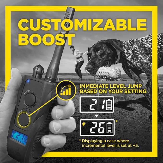 Dogtra 1900S Black - Remote Training Collar - 1 Mile Range, Waterproof, Rechargeable, Static, Vibration - includes PetsTEK Dog Training Clicker