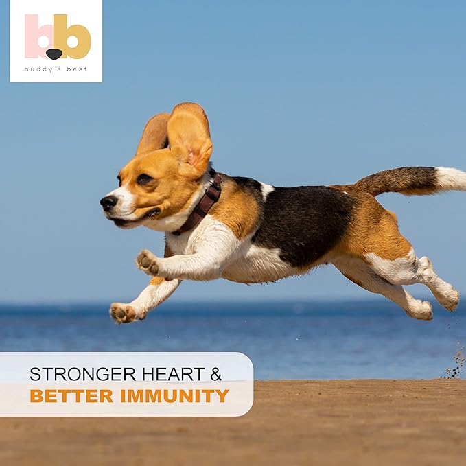Buddy's Best, Salmon Oil for Dogs - 100% Pure Norwegian Virtually Odorless Fish Oil - Omega-3 Supplements for Dogs & Cats - Promotes Healthy Skin and Coat - Dog Food Oil in Pump Bottle (1 Gallon)