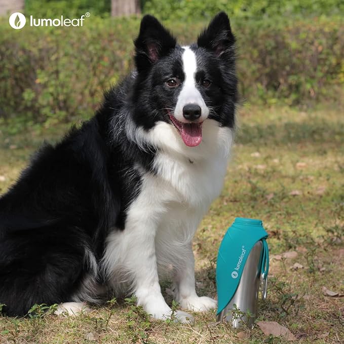 LumoLeaf Portable Dog Water Bottle 27 OZ, Stainless Steel Pet Travel Water Bottle Dispenser for Walking, Hiking and Outdoor, Portable Water Bowl for Large Dogs (Blue)