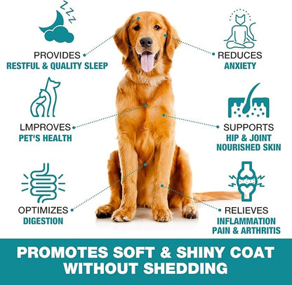 Pet Hemp Oil for Dogs Cats (2 Pack) Joint Pain Support Anxiety Stress Cough Inflammation Relief Skin Arthritis Care Supplement Dog Cat Hemp Drops Tincture (Flavorless)