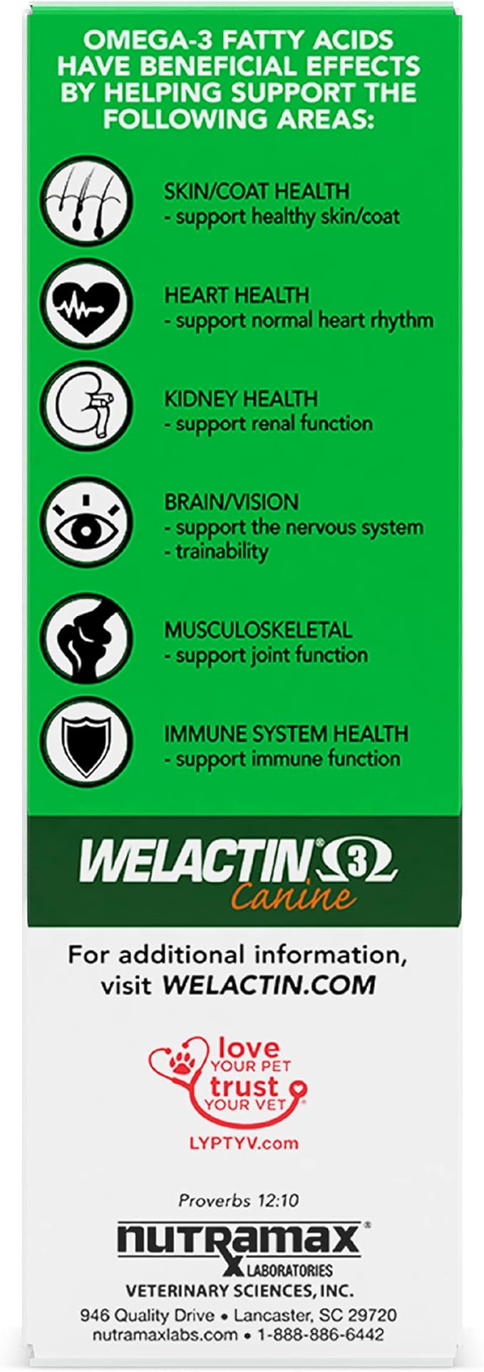 Nutramax Welactin Omega-3 Fish Oil Skin and Coat Health Supplement Liquid for Dogs - 16 Ounce